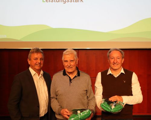 Neue Ehrenmitglieder beim VfL Herrenberg ernannt 