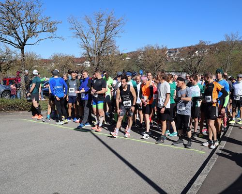 Kirschblütenlauf 2025